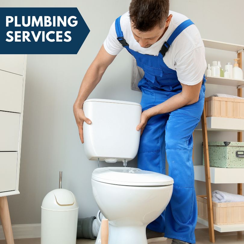 Plumbing Company in West York, IL